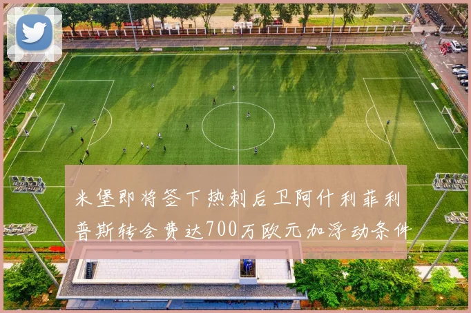 米堡即将签下热刺后卫阿什利菲利普斯转会费达700万欧元加浮动条件
