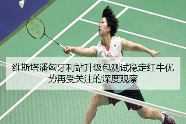 维斯塔潘匈牙利站升级包测试稳定红牛优势再受关注的深度观察