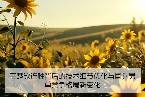 王楚钦连胜背后的技术细节优化与国乒男单竞争格局新变化